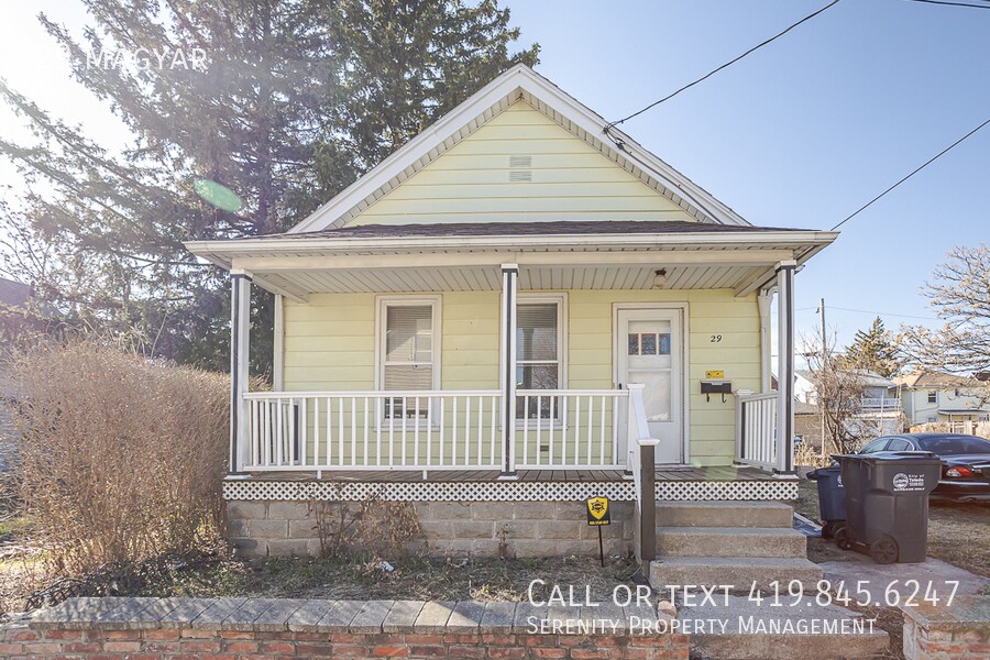 29 Magyar St in Toledo, OH - Building Photo