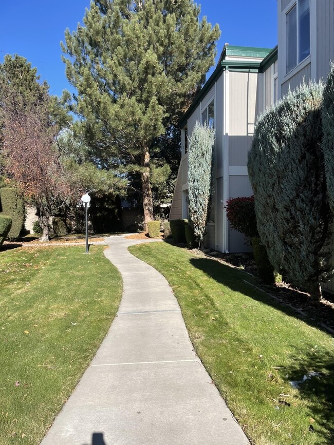 property at 2667 Sycamore Glen Dr