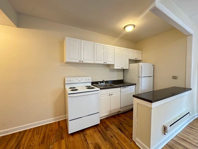 553 W Aldine Ave in Chicago, IL - Building Photo - Building Photo