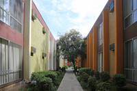 Sycamore Village photo'