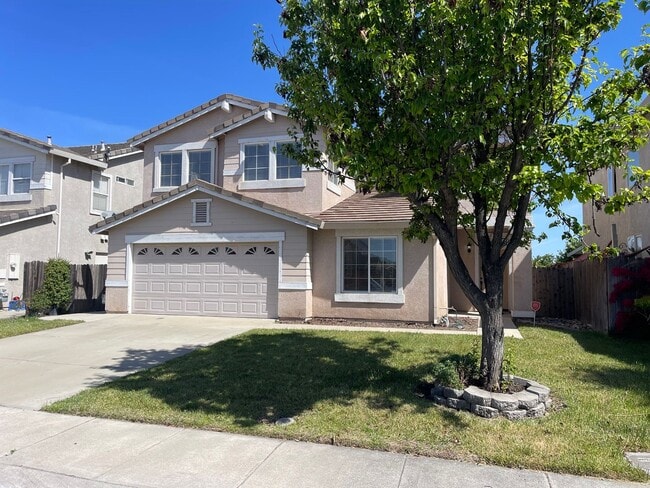 779 Boulder Ave in Lathrop, CA - Building Photo - Building Photo