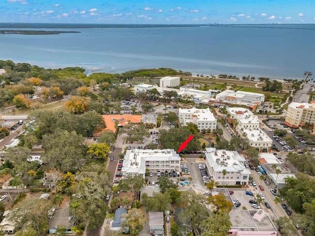 101 2nd Ave N in Safety Harbor, FL - Building Photo - Building Photo