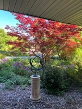 8551 N Point Dr in Fox Point, WI - Foto de edificio - Building Photo