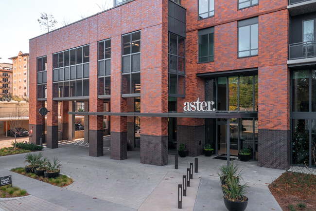 Aster in Dallas, TX - Foto de edificio - Building Photo