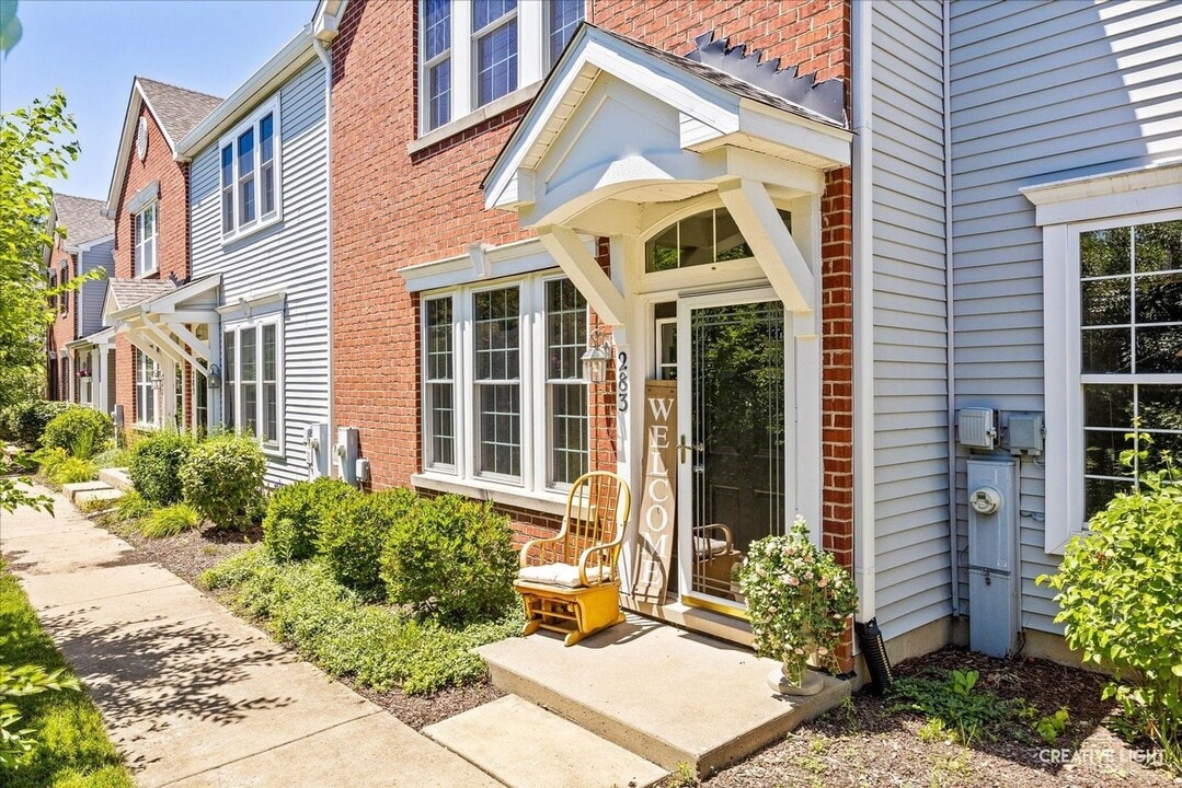 283 Springbrook Trail S in Oswego, IL - Building Photo