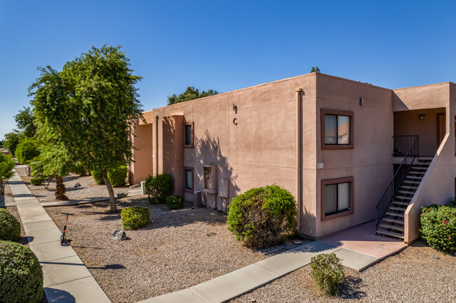 Lake Point Village Condominiums in Tempe, AZ - Building Photo - Primary Photo