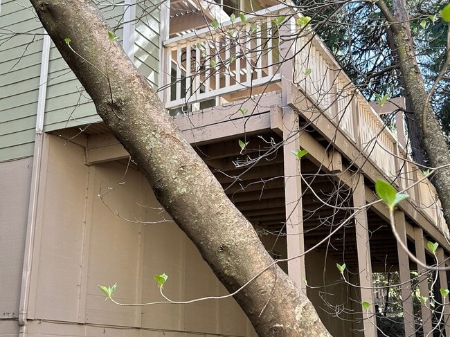 209 Cool Creek Ln in Lake Arrowhead, CA - Building Photo - Building Photo