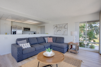 8143 La Jolla Scenic Dr N in San Diego, CA - Building Photo - Building Photo