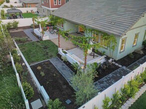 263 Wisteria St in Fillmore, CA - Building Photo - Building Photo