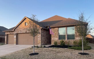 311 Smart Strike Ct in Granbury, TX - Building Photo