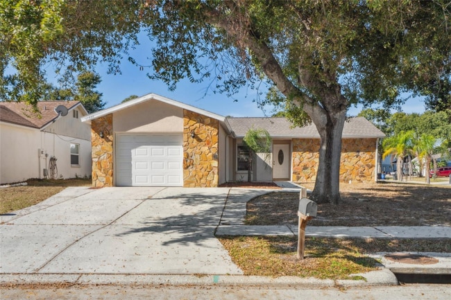 11321 Blackbark Dr in Riverview, FL - Foto de edificio - Building Photo