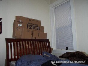 102 Willow St, Unit 2 in Cambridge, MA - Building Photo - Building Photo