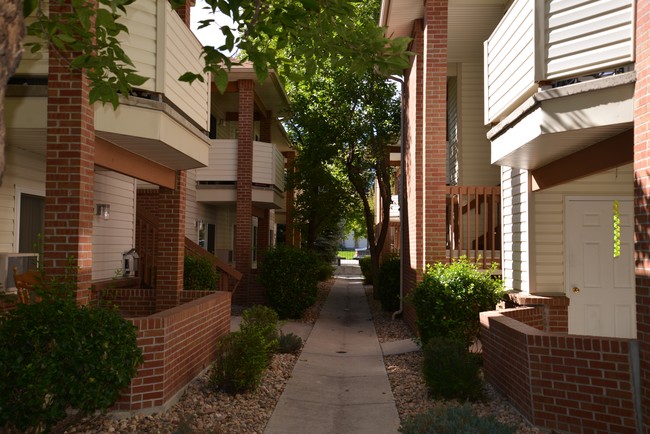 Montview Meadows in Longmont, CO - Foto de edificio - Building Photo