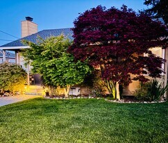 1528 York Ave in San Mateo, CA - Building Photo