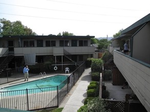 Pine Cone Apartments in Concord, CA - Foto de edificio - Building Photo