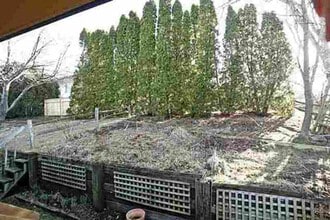 848 Dover St in Iowa City, IA - Building Photo - Building Photo