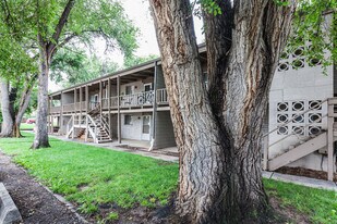 701 Parker St in Fort Collins, CO - Building Photo