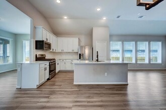 464 Leadtree Loop in Mustang Ridge, TX - Building Photo - Building Photo