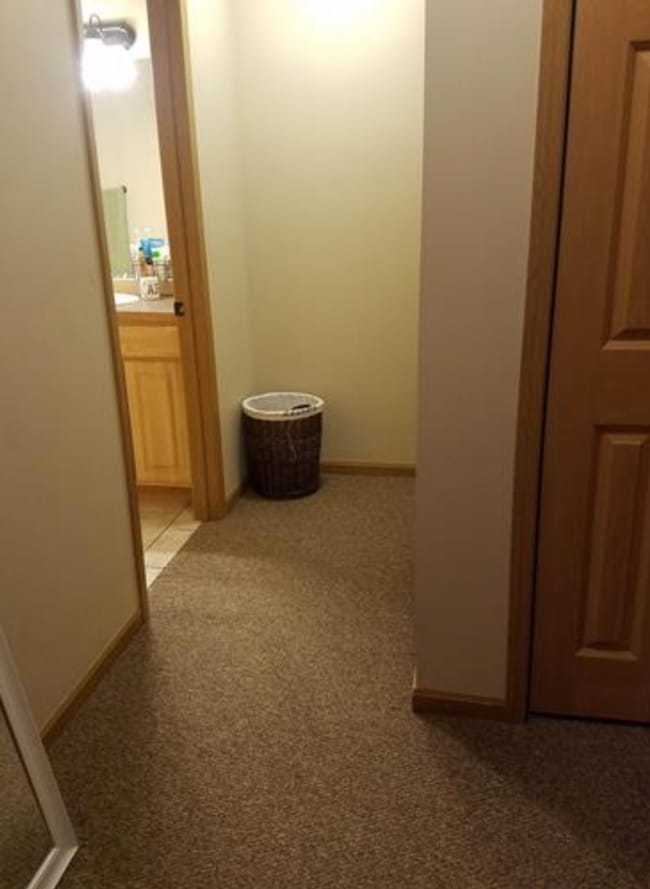 189 Talon Way in Bozeman, MT - Building Photo - Building Photo