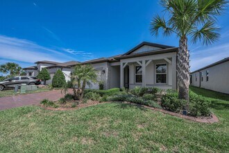 19865 Sea Glass Cir in Land O Lakes, FL - Building Photo - Building Photo