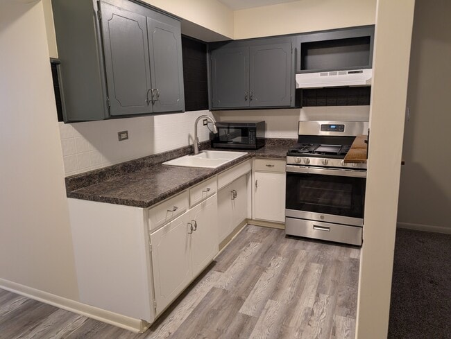 924 Warren Ave, Unit 1 in Downers Grove, IL - Building Photo - Building Photo