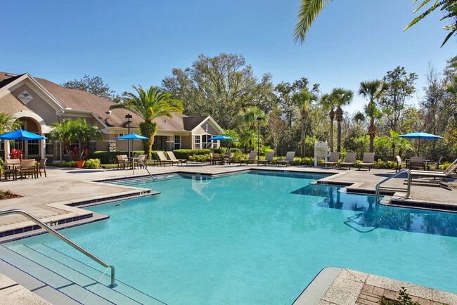 Cypress Grand in Tampa, FL - Foto de edificio - Building Photo
