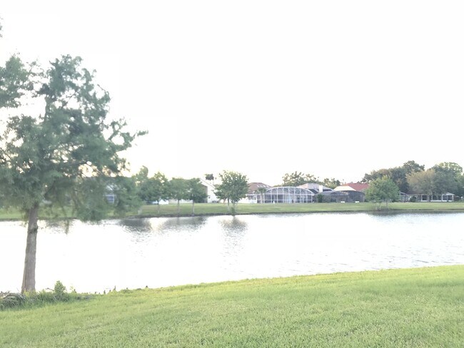 12801 Ben Rogers Ct in Orlando, FL - Building Photo - Building Photo