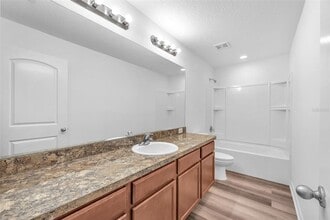 11908 Winterset Cove Dr in Riverview, FL - Building Photo - Building Photo