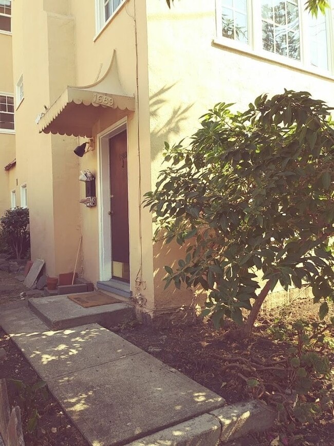 1689 Scenic Ave in Berkeley, CA - Building Photo - Building Photo