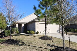1603 Oleander Grns Dr in Conroe, TX - Building Photo