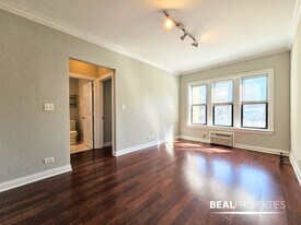 744 W Addison St in Chicago, IL - Building Photo
