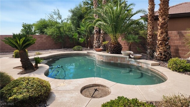 11737 Feinberg Pl in Las Vegas, NV - Building Photo - Building Photo
