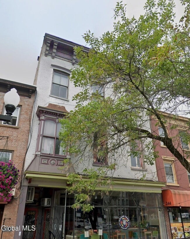 240 Washington Ave in Albany, NY - Building Photo - Building Photo