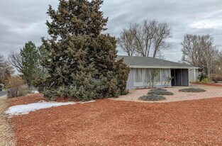 1170 S Holly St in Denver, CO - Building Photo