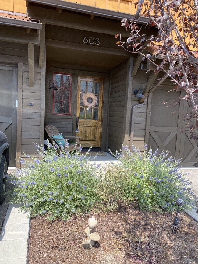property at 603 Little Cloud