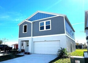 34200 Scarlet Sage Ct in Wesley Chapel, FL - Building Photo