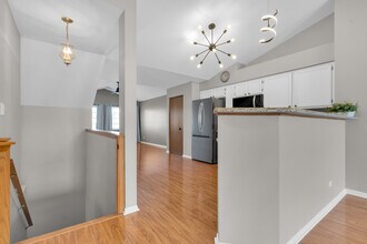 239 Camel Bend Ct in Schaumburg, IL - Building Photo - Building Photo