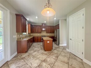 20318 Chestnut Grove Dr in Tampa, FL - Building Photo - Building Photo