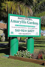 Amarylis Gardens in Pahokee, FL - Building Photo - Building Photo