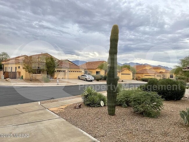 property at 12905 N Mesozoic Dr