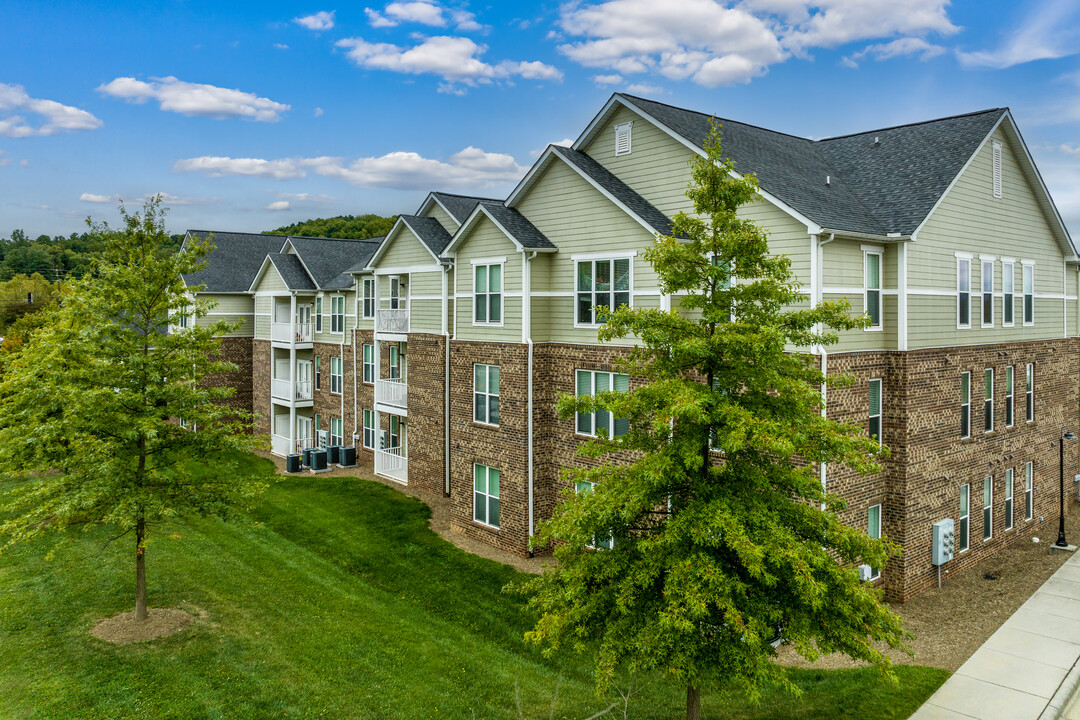 Palisades of Asheville in Asheville, NC - Building Photo