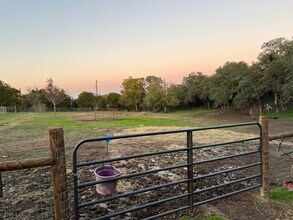 23970 Cavern Oak in San Antonio, TX - Building Photo - Building Photo