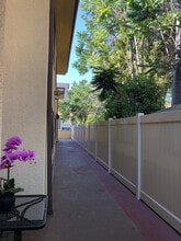 431 Burchett St, Unit 3 in Glendale, CA - Foto de edificio - Building Photo
