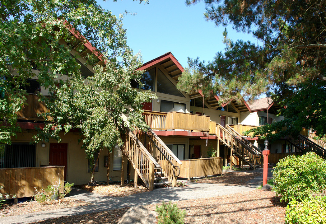 Pinewild Apartments in Santa Rosa, CA - Building Photo