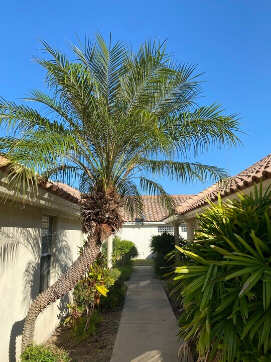 1209 Swallow Ave, Unit #3 in McAllen, TX - Foto de edificio