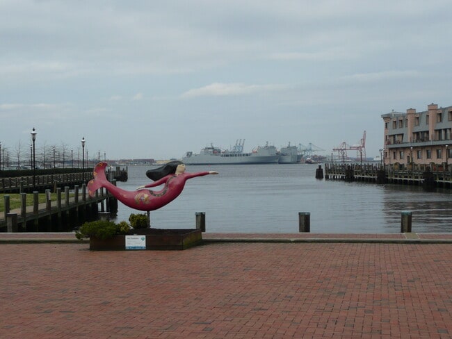 230 W Tazewell St, Unit 105 in Norfolk, VA - Foto de edificio - Building Photo