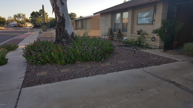 7840 N Rasmussen Ave in Tucson, AZ - Building Photo - Building Photo