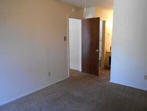 1606 Waterloo Tr in Austin, TX - Building Photo - Building Photo