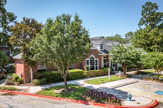 The Verandah at LakePointe in Humble, TX - Building Photo - Building Photo