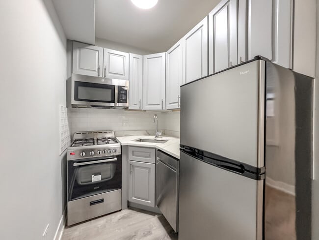 501 W Belmont Ave, Unit E05P in Chicago, IL - Building Photo - Building Photo